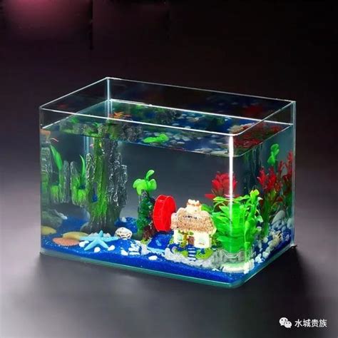 水族箱可以養什麼|水族箱適合飼養哪些魚類？根據體積選擇魚類品種指南